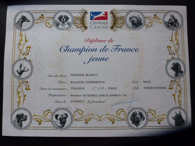 du sixieme sens - Diplôme champion de France jeune 2017 de black'o